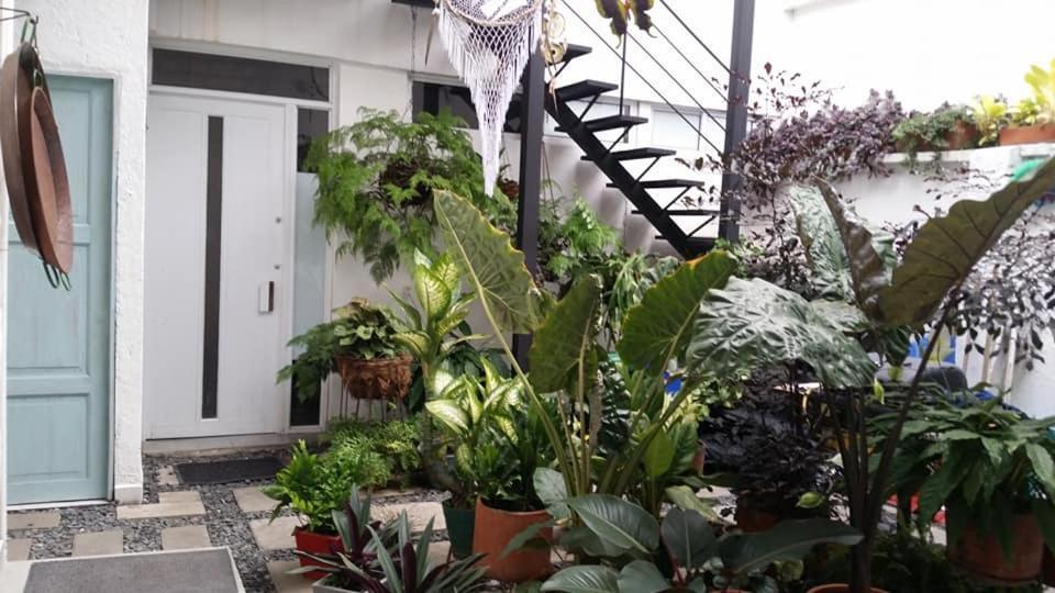 Moonshine Boutique Hostal 칼리 외부 사진